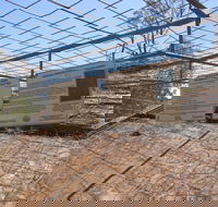 Aboriginal Carvings - Melbourne Tourism