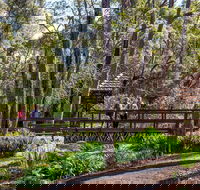 Armadale - Melbourne Tourism