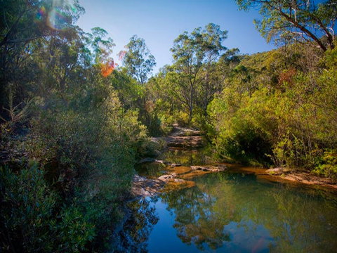 Bargo State Conservation Area - Melbourne Tourism 0