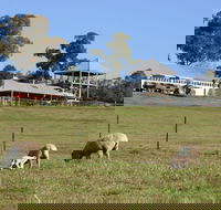 Calmsley Hill City Farm - Melbourne Tourism