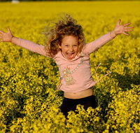 Canola Trail - Melbourne Tourism