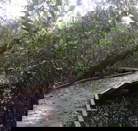 Carole Green Walkway - John Oxley Reserve - Melbourne Tourism