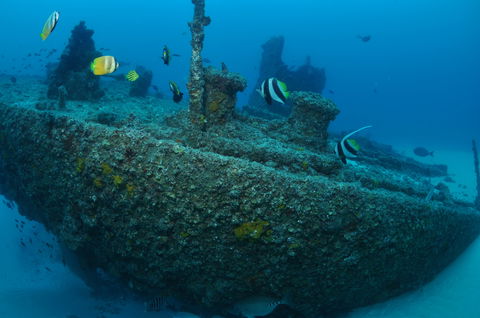 Curtin Artificial Reef Dive Site - Melbourne Tourism 1