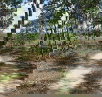 Djukbinj National Park - Melbourne Tourism