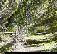 Euglah Rock Walking Track - Melbourne Tourism