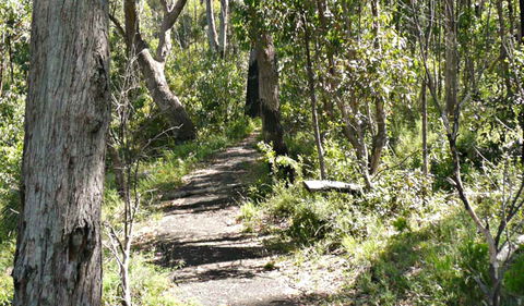 Euglah Rock Walking Track - Melbourne Tourism 0