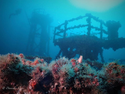 Ex HMAS Adelaide - Melbourne Tourism 0