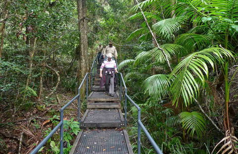 Falls Walking Track - Melbourne Tourism 0