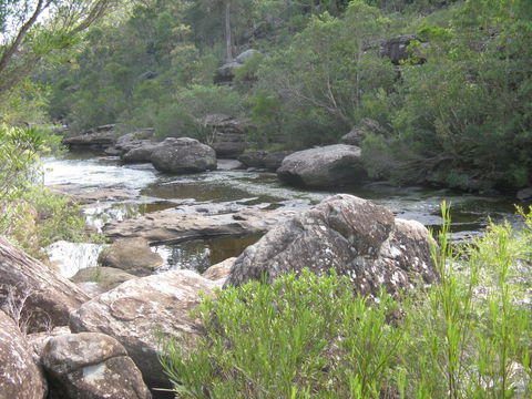 Georges River Nature Reserve - Melbourne Tourism 1