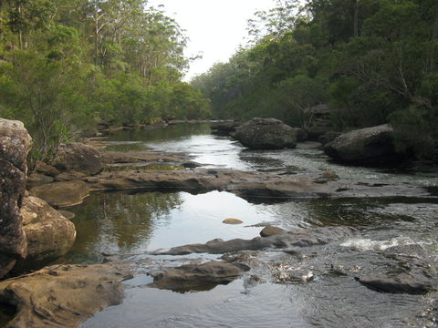 Georges River Nature Reserve - Melbourne Tourism 2