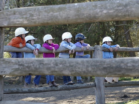 Harlow Park Horse Riding - Melbourne Tourism 0