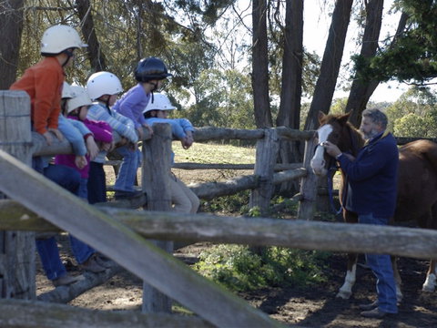 Harlow Park Horse Riding - Melbourne Tourism 2
