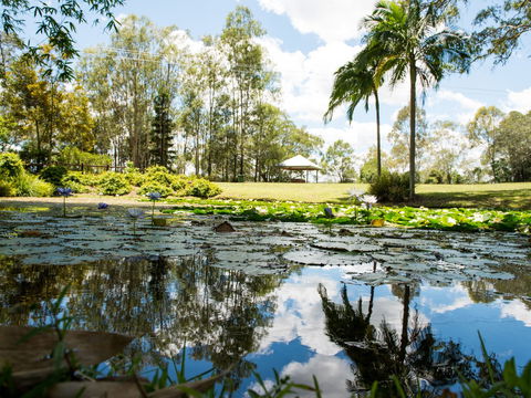 Kholo Gardens - Melbourne Tourism 1