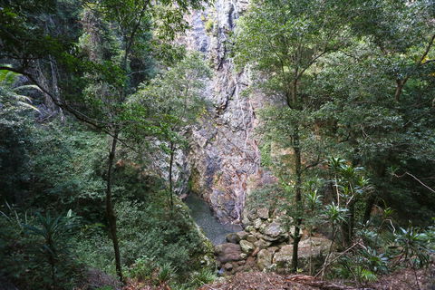 Kondalilla Falls Circuit, Kondalilla National Park - Melbourne Tourism 0