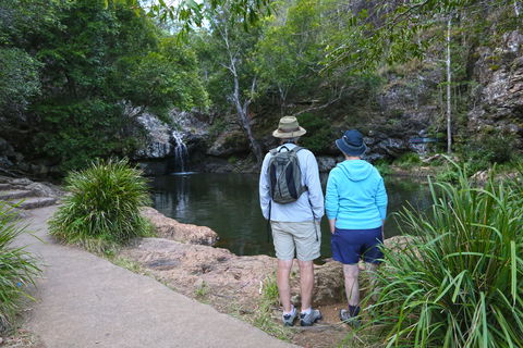 Kondalilla Falls Circuit, Kondalilla National Park - Melbourne Tourism 1