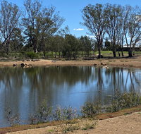 Lake King Wetlands at Rutherglen - Melbourne Tourism