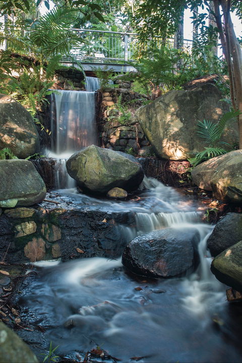 Mackay Regional Botanic Gardens - Melbourne Tourism 0