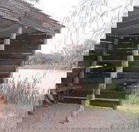 Martin Bend Wetland and Walking Trail - Melbourne Tourism