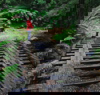 Montezuma Falls - Melbourne Tourism
