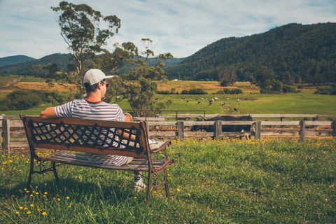 North - North East - Melbourne Tourism 0