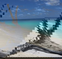 North West Island - Melbourne Tourism