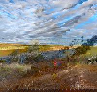 Pine Creek - Melbourne Tourism