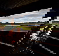 Reed Beds Bird Hide Boardwalk - Melbourne Tourism