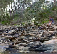 Rocksberg Park Heritage Reserve - Melbourne Tourism