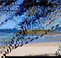 Sandon Beach - Melbourne Tourism