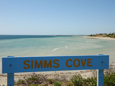 Simms Cove Lookout And Beach, Moonta Bay - Melbourne Tourism 0