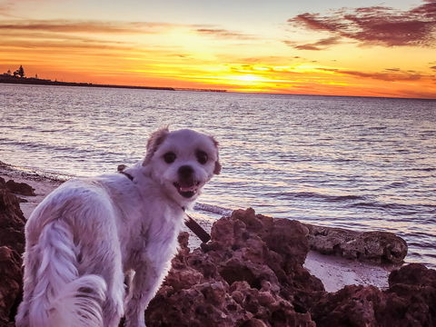 Simms Cove Lookout And Beach, Moonta Bay - Melbourne Tourism 1