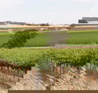 Smidge Wines Tasting Room - Melbourne Tourism