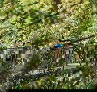 Tamborine Mountain - Melbourne Tourism