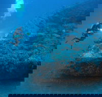 The Zanoni Wreck - Melbourne Tourism