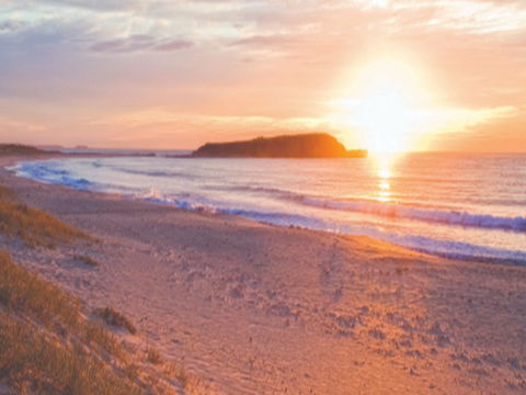Warilla Beach: Shellharbour - Melbourne Tourism 0
