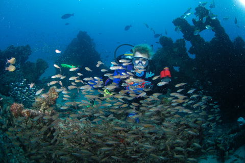 Aarhus Dive Site - Melbourne Tourism 0