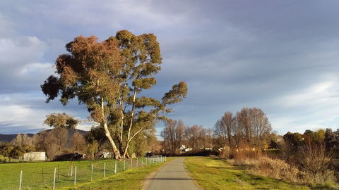 Adelong - Melbourne Tourism 2
