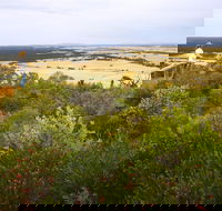 Archer Drive Scenic Drive and Lookout - Melbourne Tourism