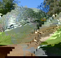 Big Murray Cod - Melbourne Tourism