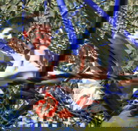 City Park - Melbourne Tourism