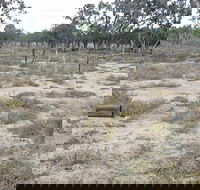 Culgoa Connellys Track - Melbourne Tourism
