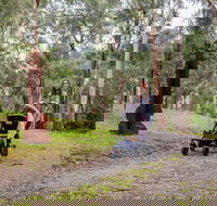 Currawong Bush Park - Melbourne Tourism