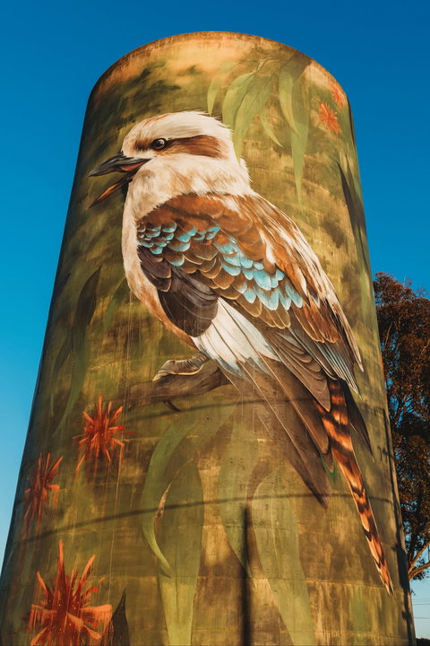 Deniliquin Water Tower Mural - Melbourne Tourism 0