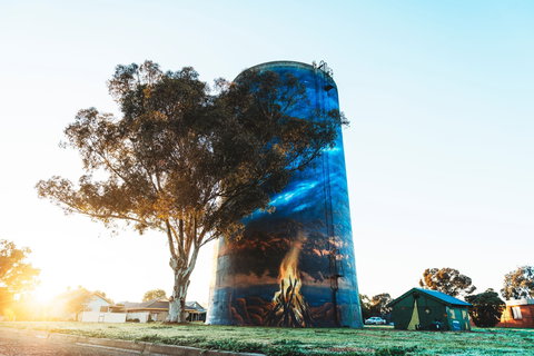 Deniliquin Water Tower Mural - Melbourne Tourism 1