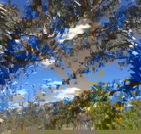 Euroa Arboretum - Melbourne Tourism
