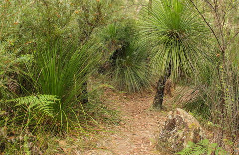 Grass Tree Circuit - Melbourne Tourism 0