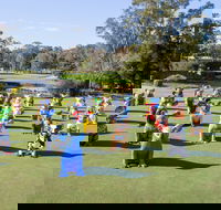 Hello Koalas Sculpture Trail - Melbourne Tourism