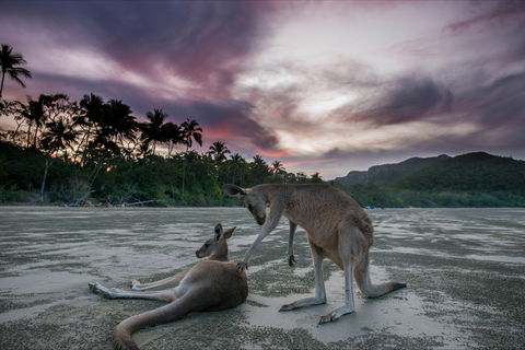 How To Holiday On The Hibiscus Coast With Your Family - Melbourne Tourism 0