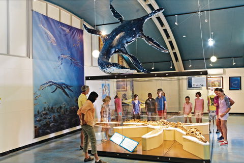 Kronosaurus Korner - Melbourne Tourism 2