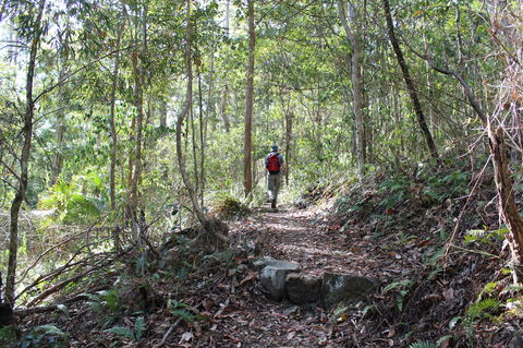 Morelia Walking Track, D'Aguilar National Park - Melbourne Tourism 1